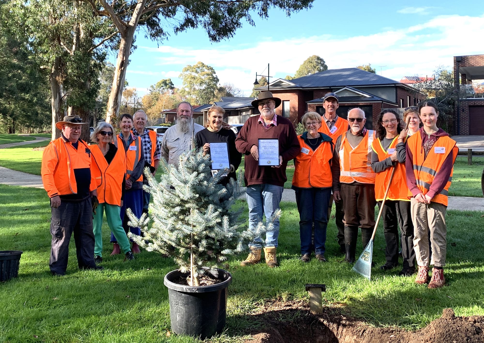 A decade of tree advocacy