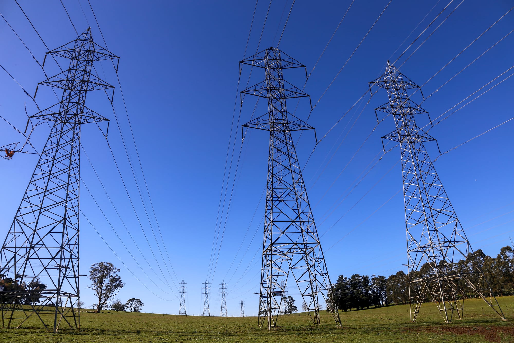 Electricity network upgrades