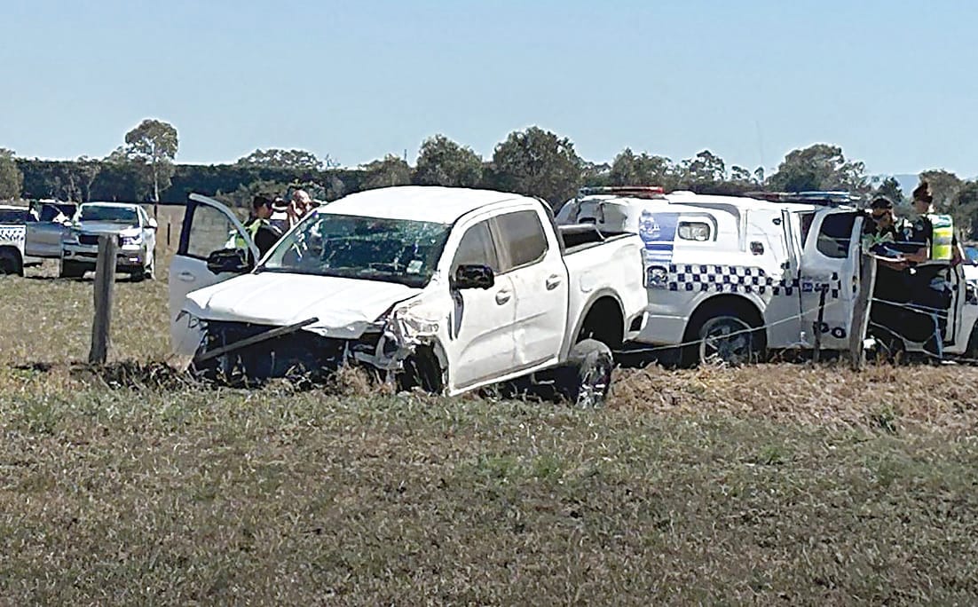 Arrest in Longwarry paddock