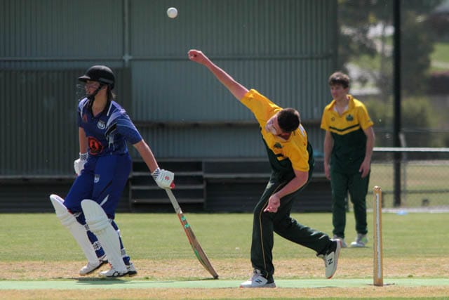 Cricket Seniors Div 4 - Western Park Vs. Garfield - Tynong - 16.11.2024