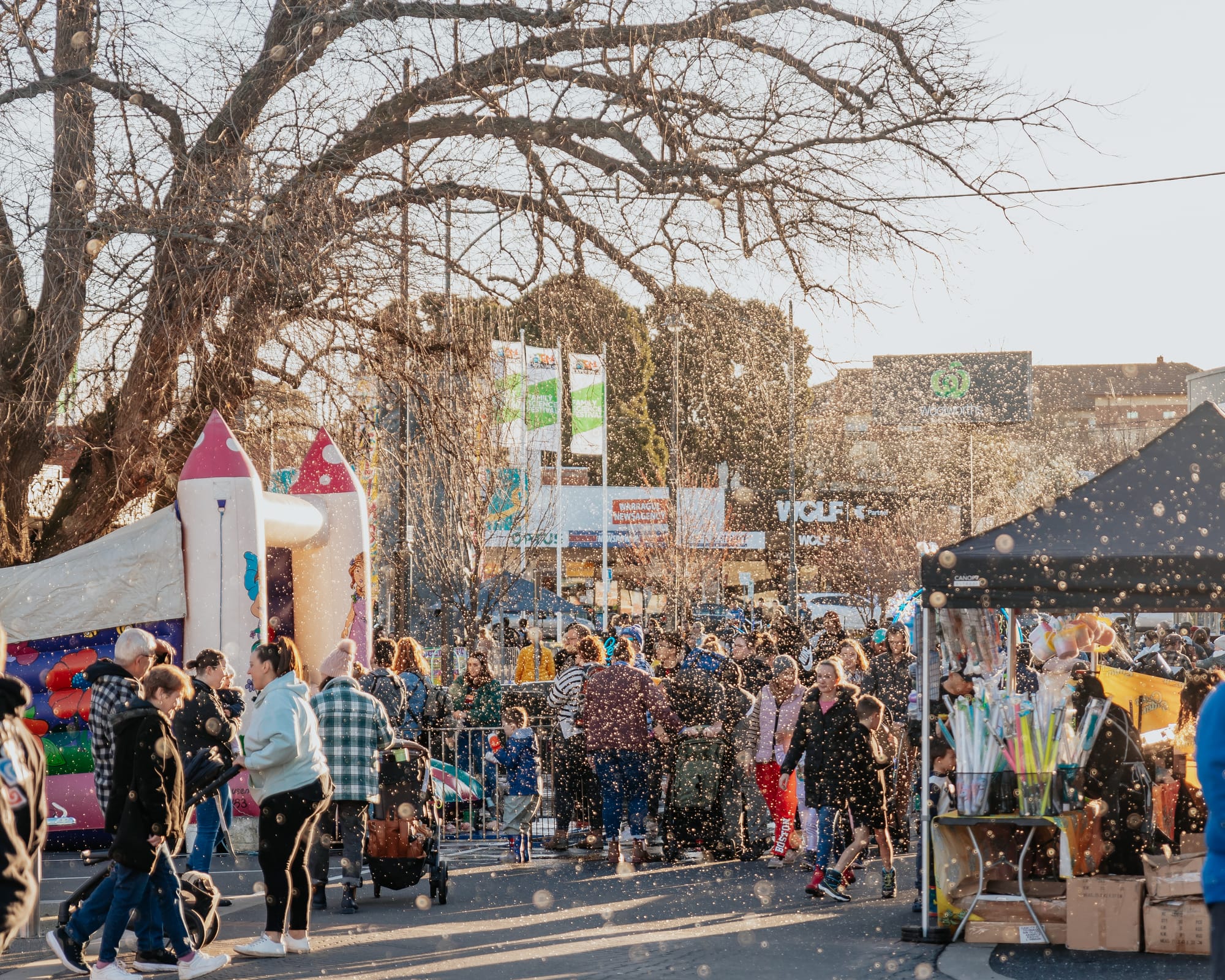 Snowfest planning underway for July