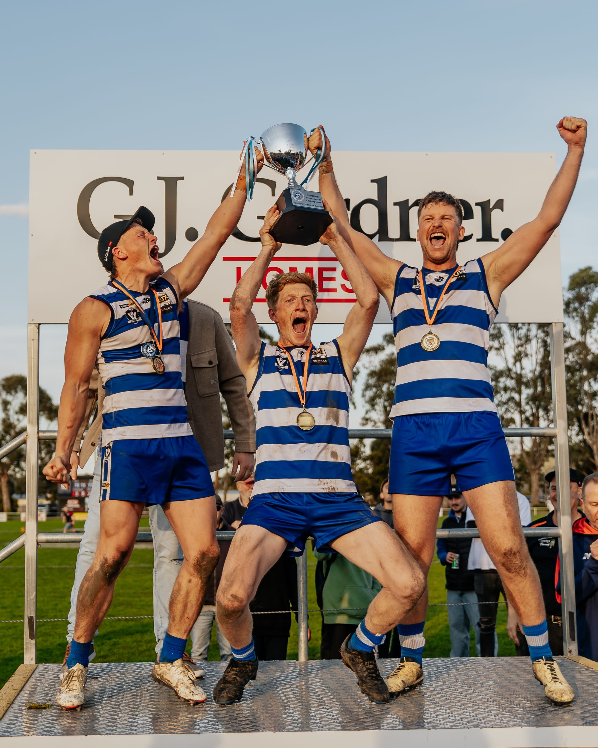 Cats cap off purr-fect season