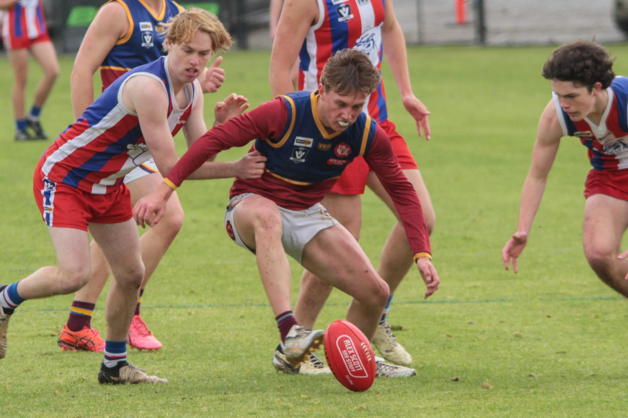 Dusties downed in grand final