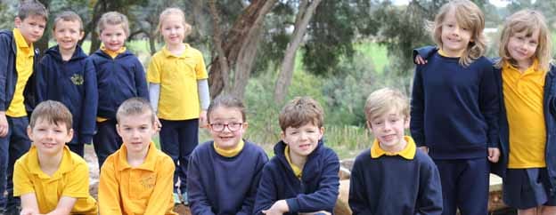 Native garden takes shape