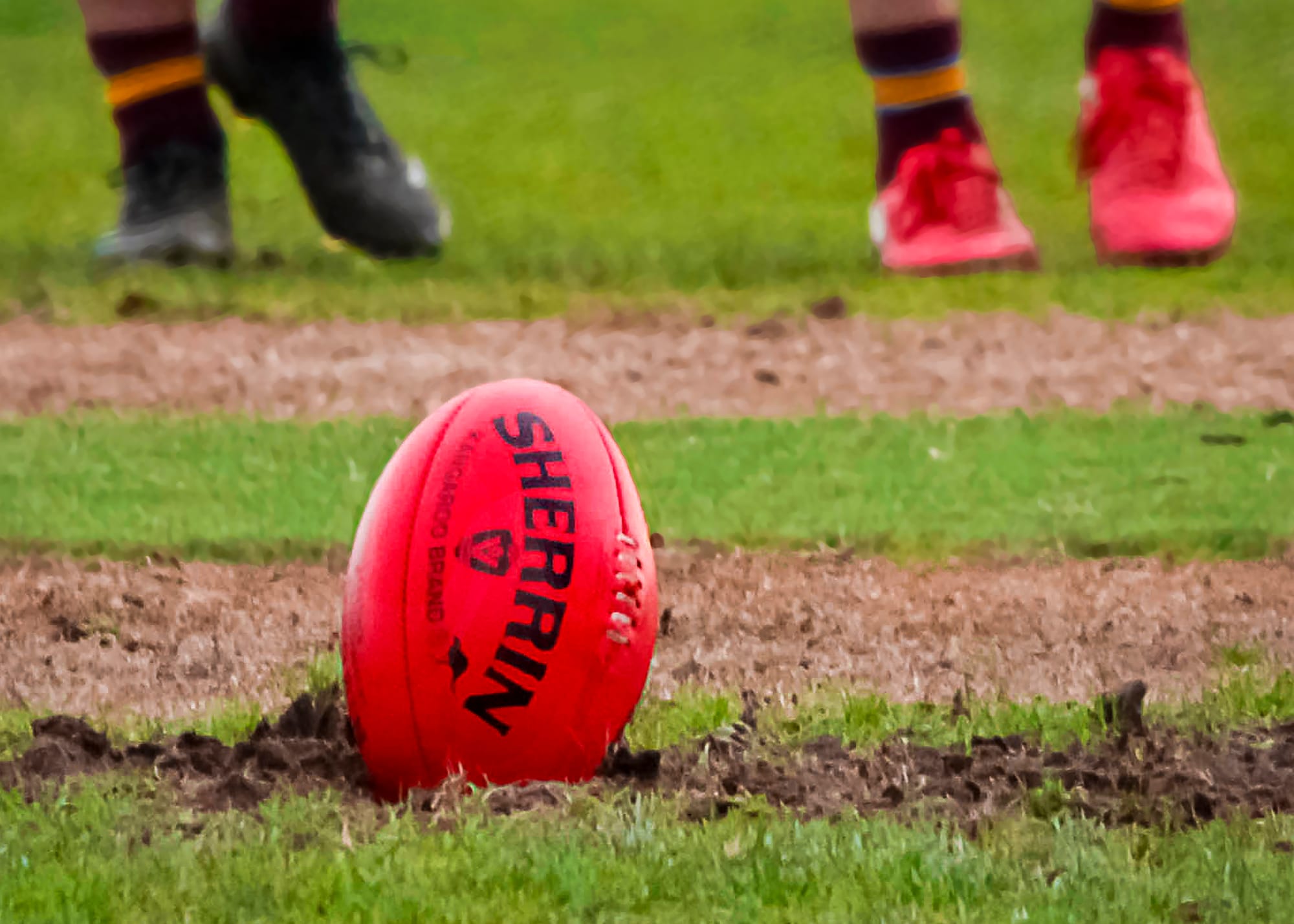 Cats account for Tigers