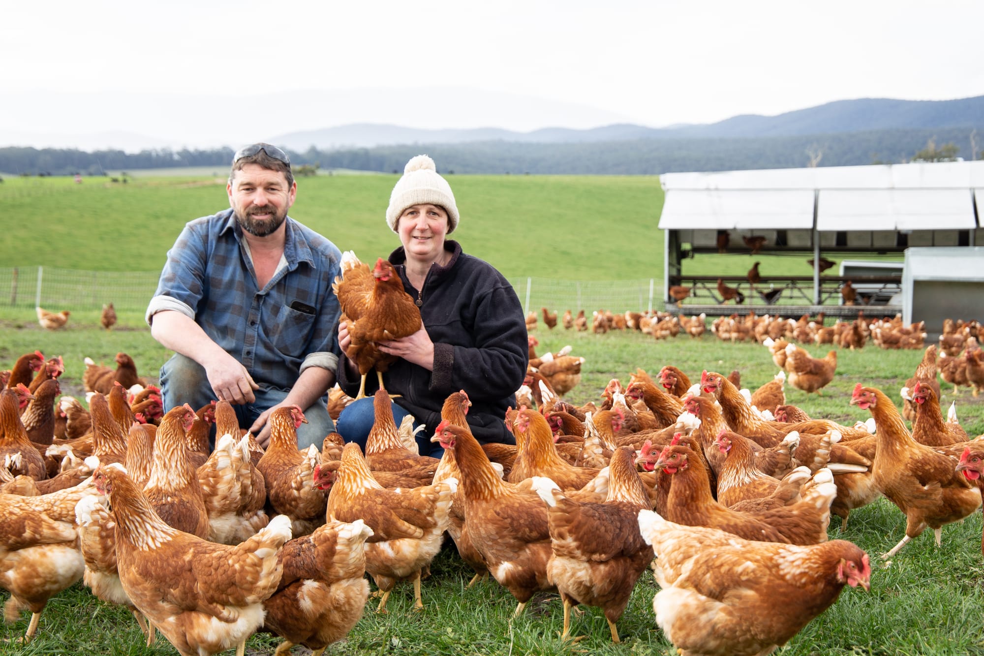 Gippsland Free Range Eggs to expand thanks to grant
