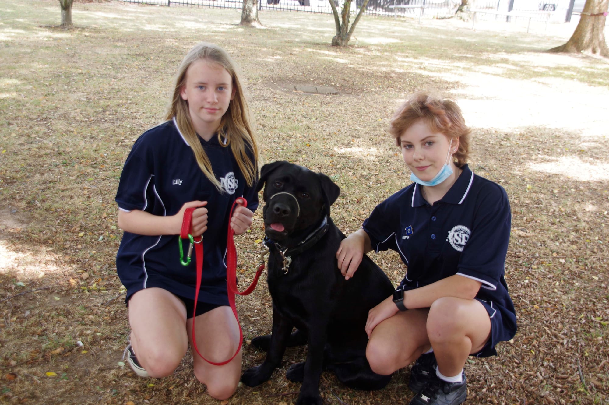 Therapy dog - 15.03.2022