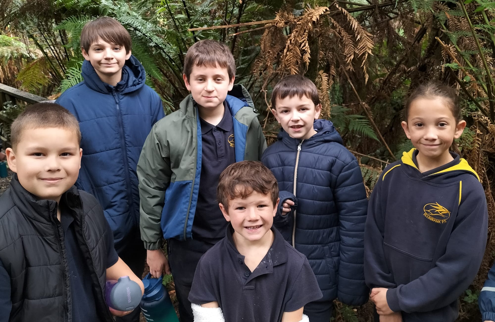 A bushwalk experience