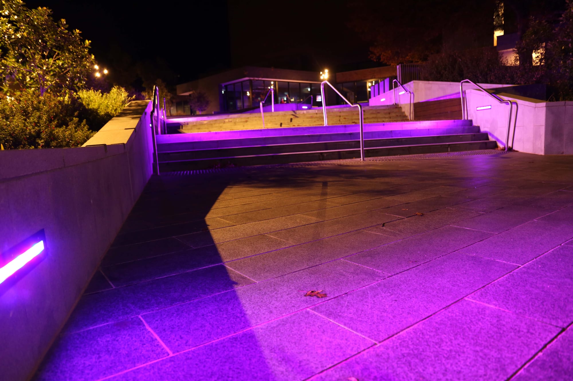 WGAC - Purple Lights - 03.05.2022