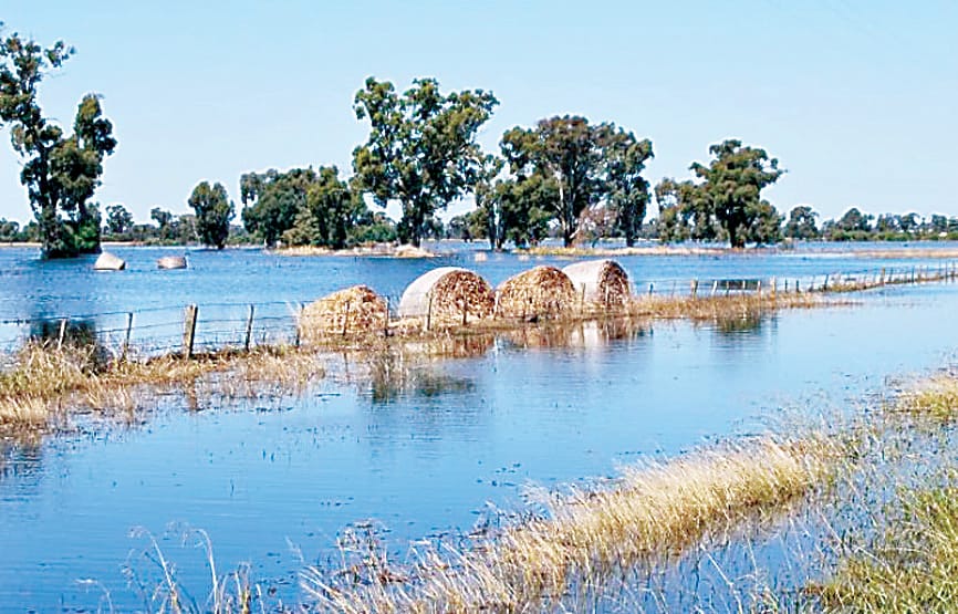 Flood help for farmers