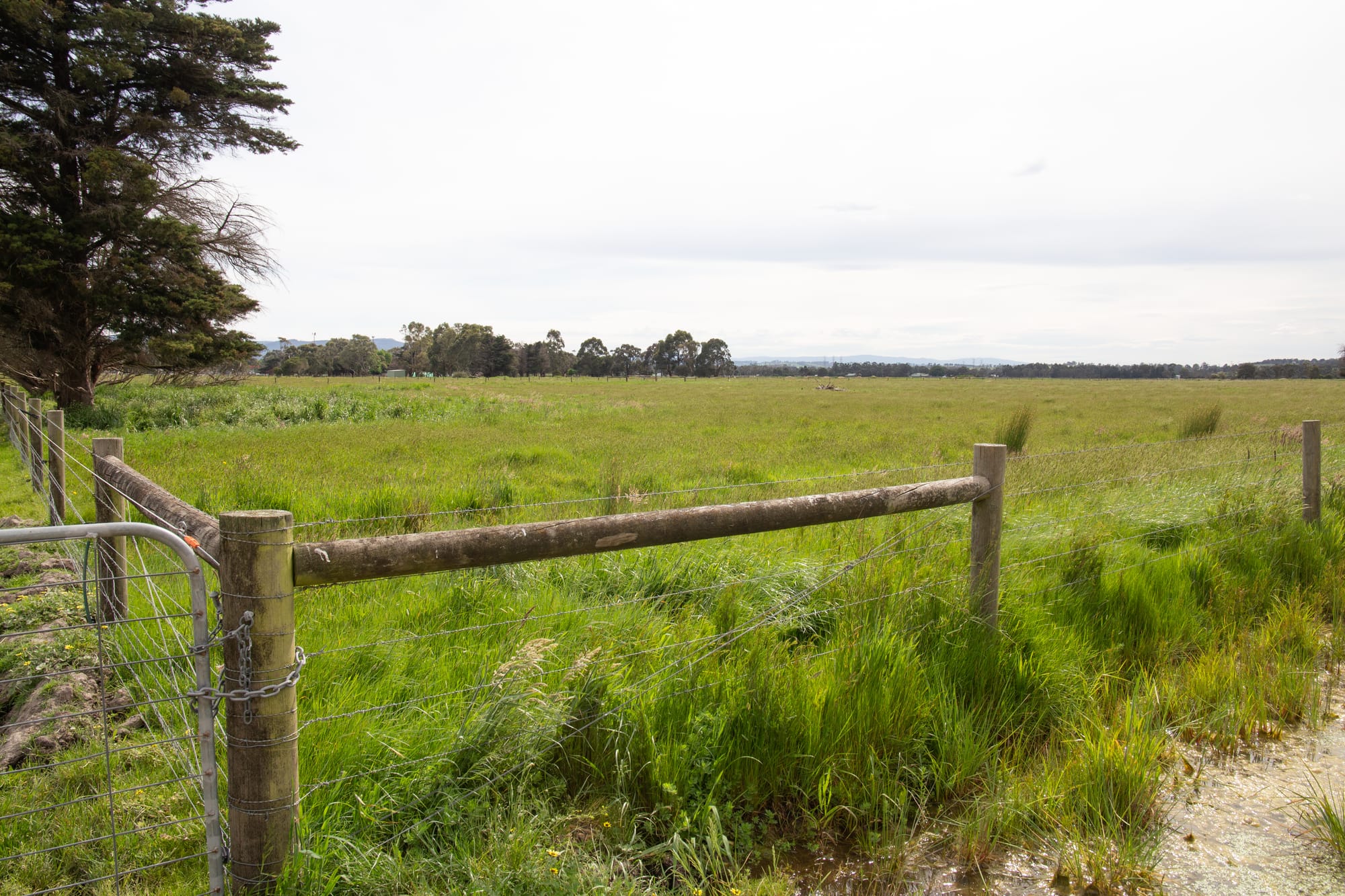 New saleyards at Longwarry supported by council
