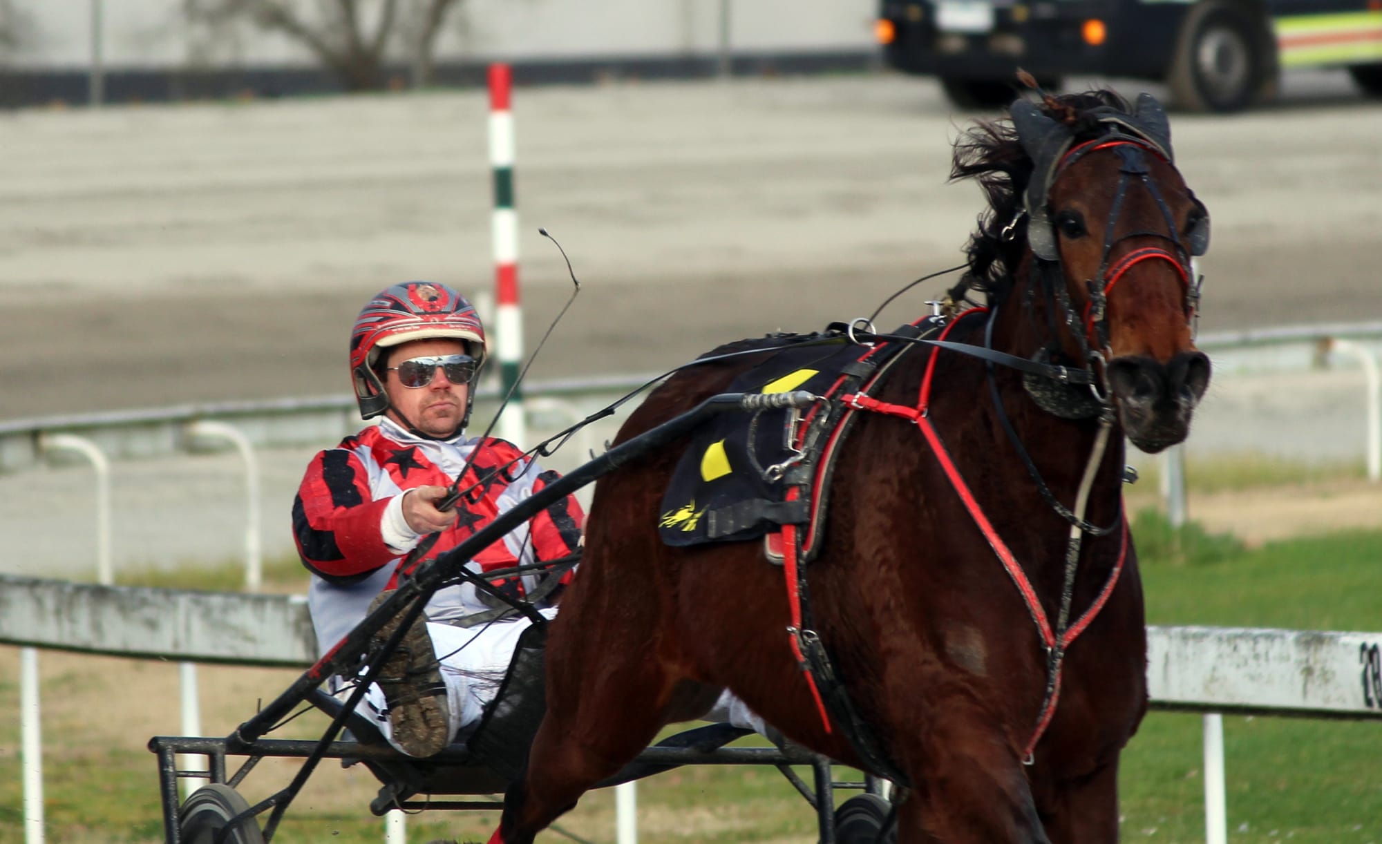 Anniversary success for Sovereign Tiger