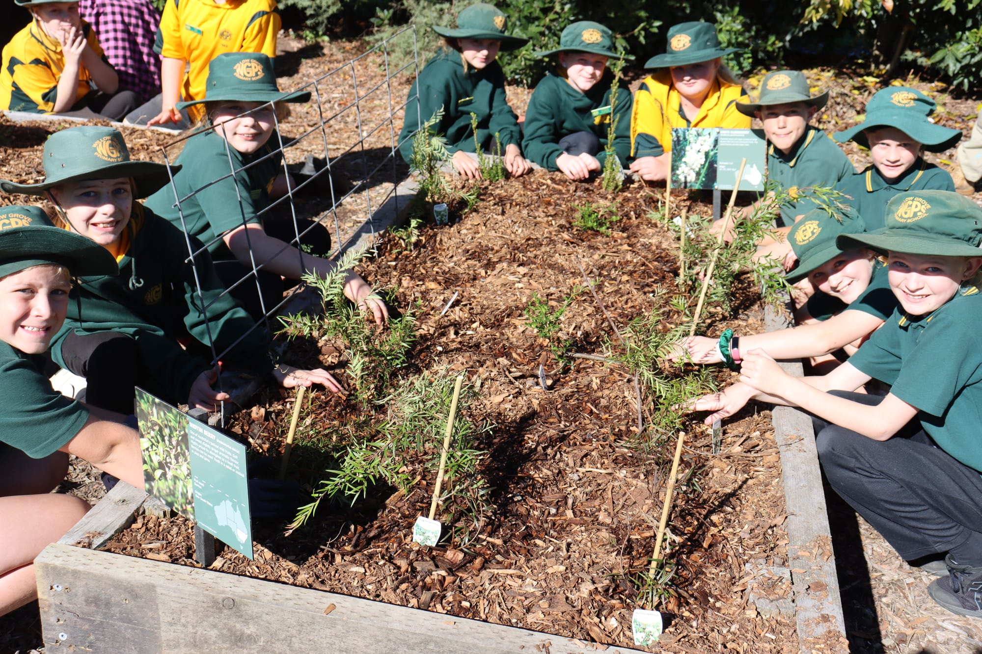 Left to right -  Lucas, Addison, Charlye-Rae, Matilda, Charlie, Ava, Ollie, Loui, Ava, Ebony working on their new crop