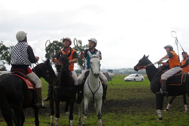 Trafalgar Polox - 2021