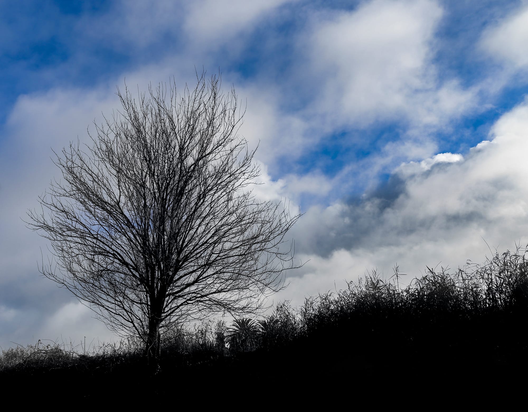 Winter rain below average