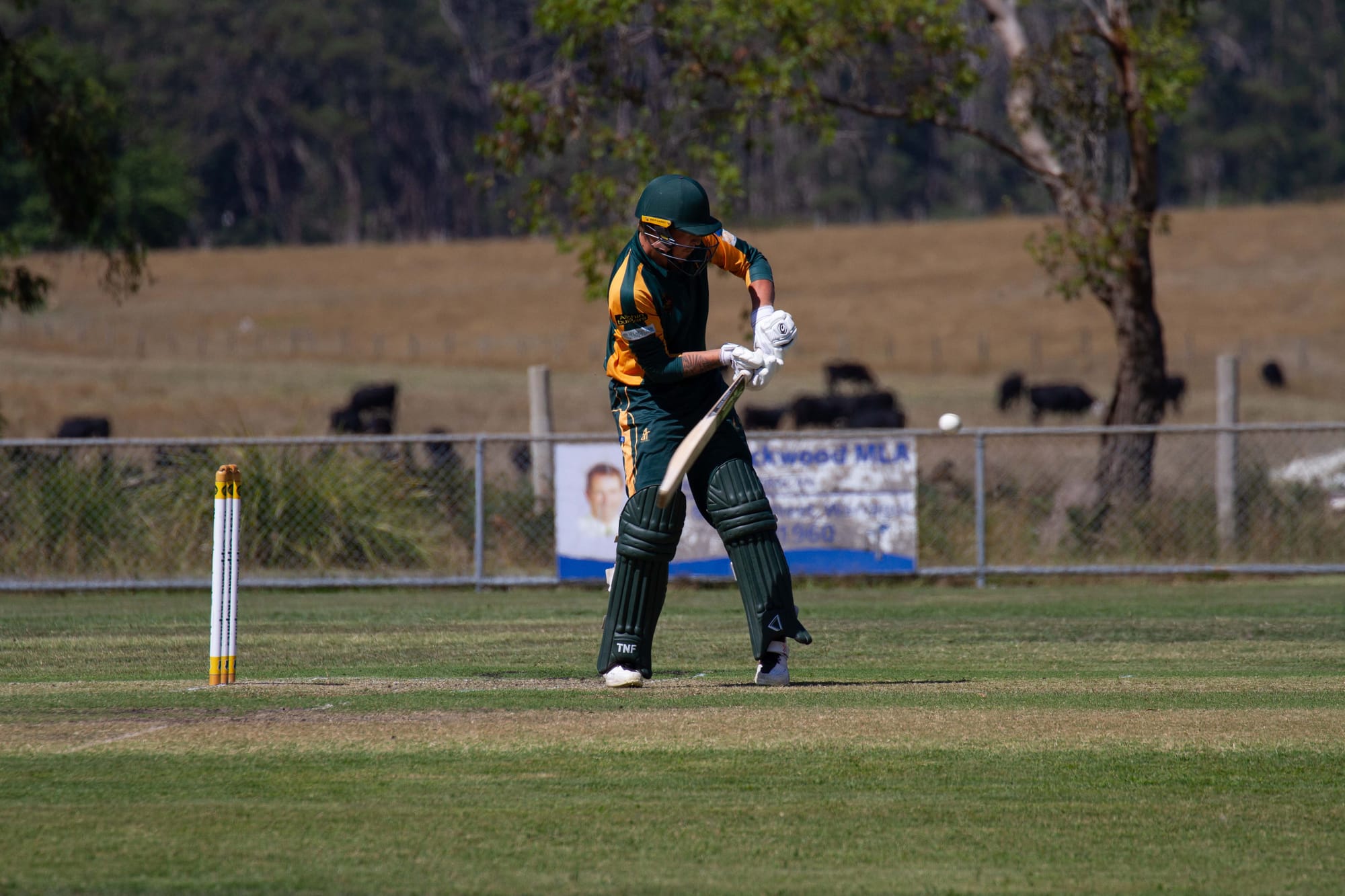 Cricket Div 1 Hallora Vs. Ellinbank - 12.03.2022