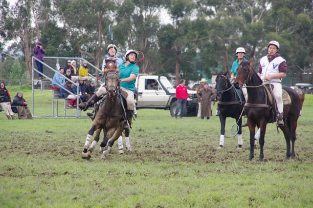 Trafalgar Polox - 2021 