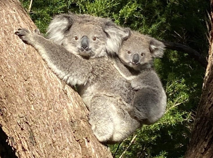 Kelly Smith from Federation University is calling upon local residents to be citizen scientists and join 