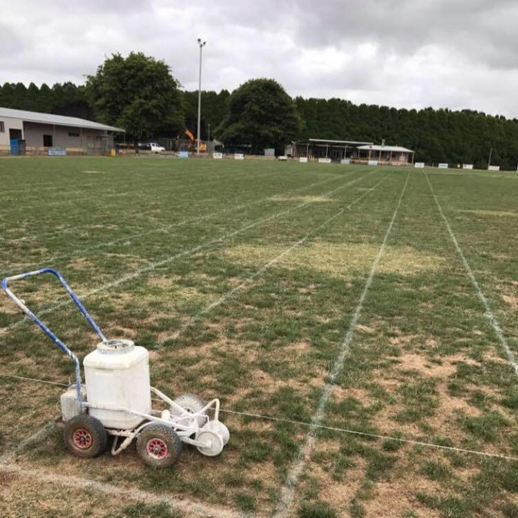 Family fun on offer at twilight sports