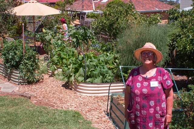 Creative Harvest - 22.01.2022