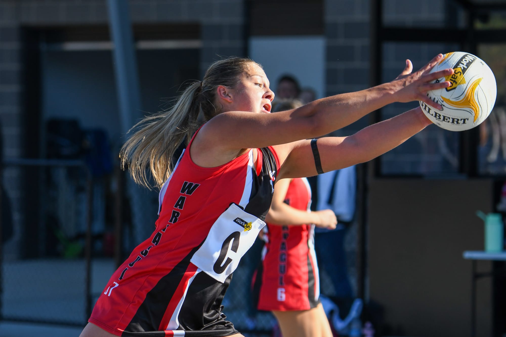 Gulls win A grade battle