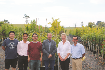 Tree business blossoms