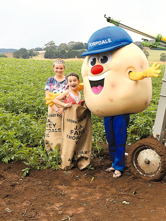 Spud takes centre stage