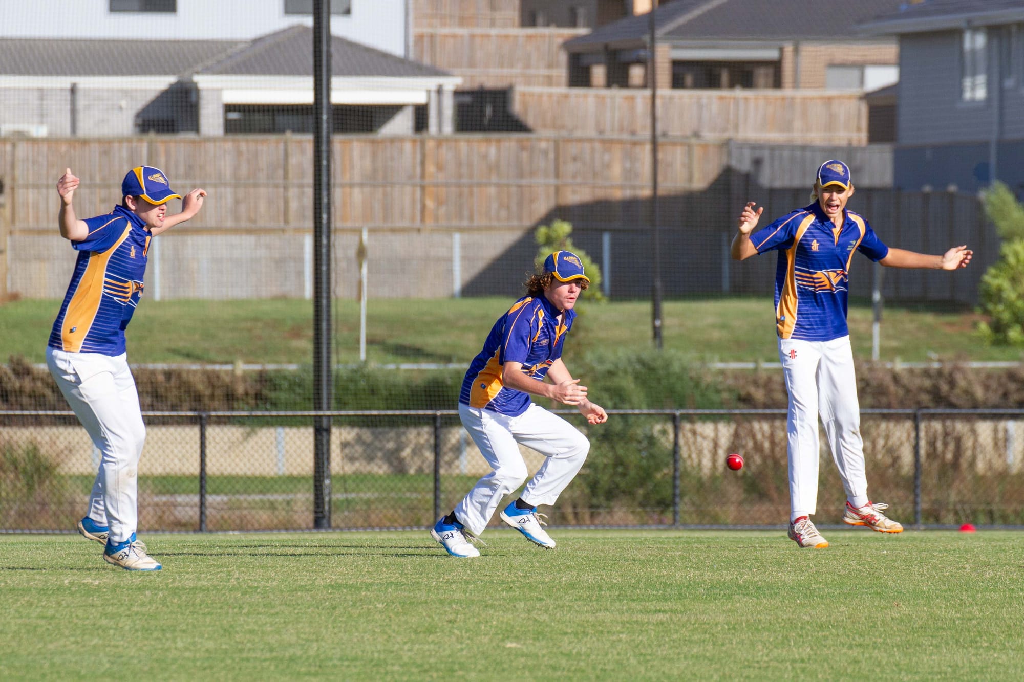 Cricket (U16's) Ellinbank Vs. Western Park - 19.03.2022