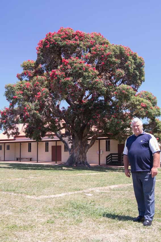 Big tree crowned a champion