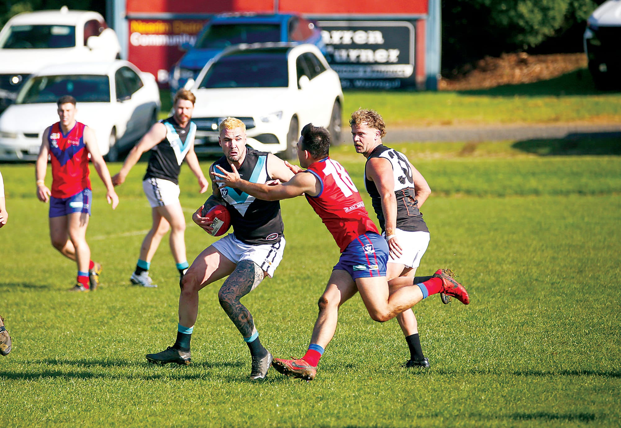 Lyrebirds remain undefeated