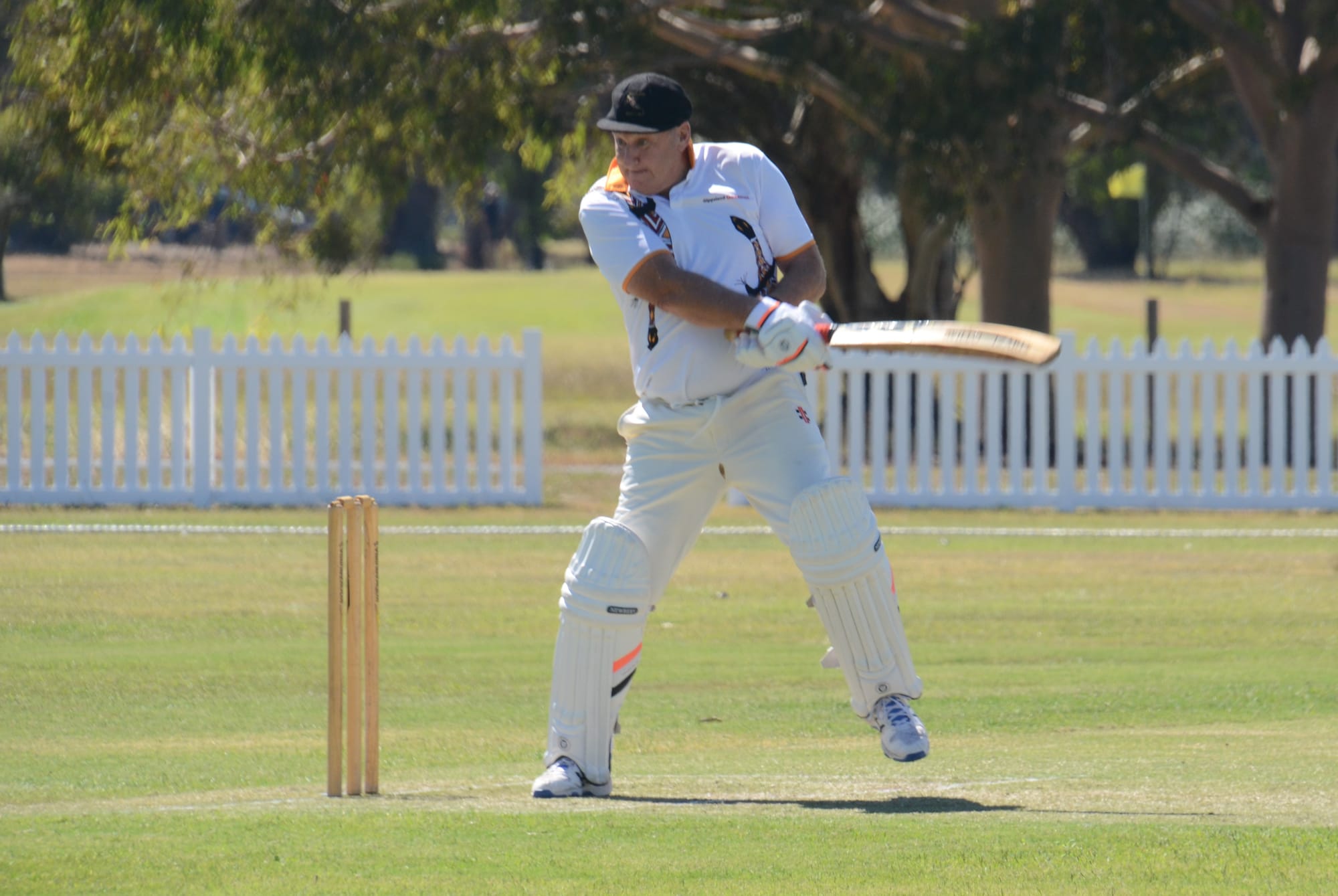 Goannas over 60s dominate