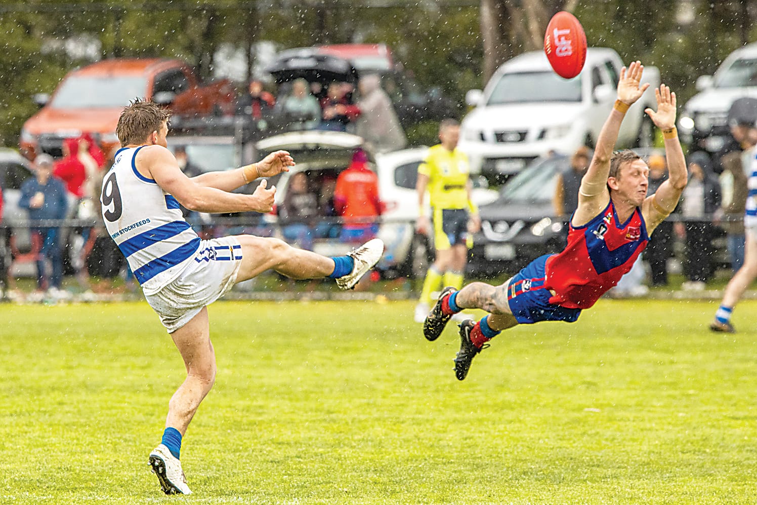 Cats claim classic grand final