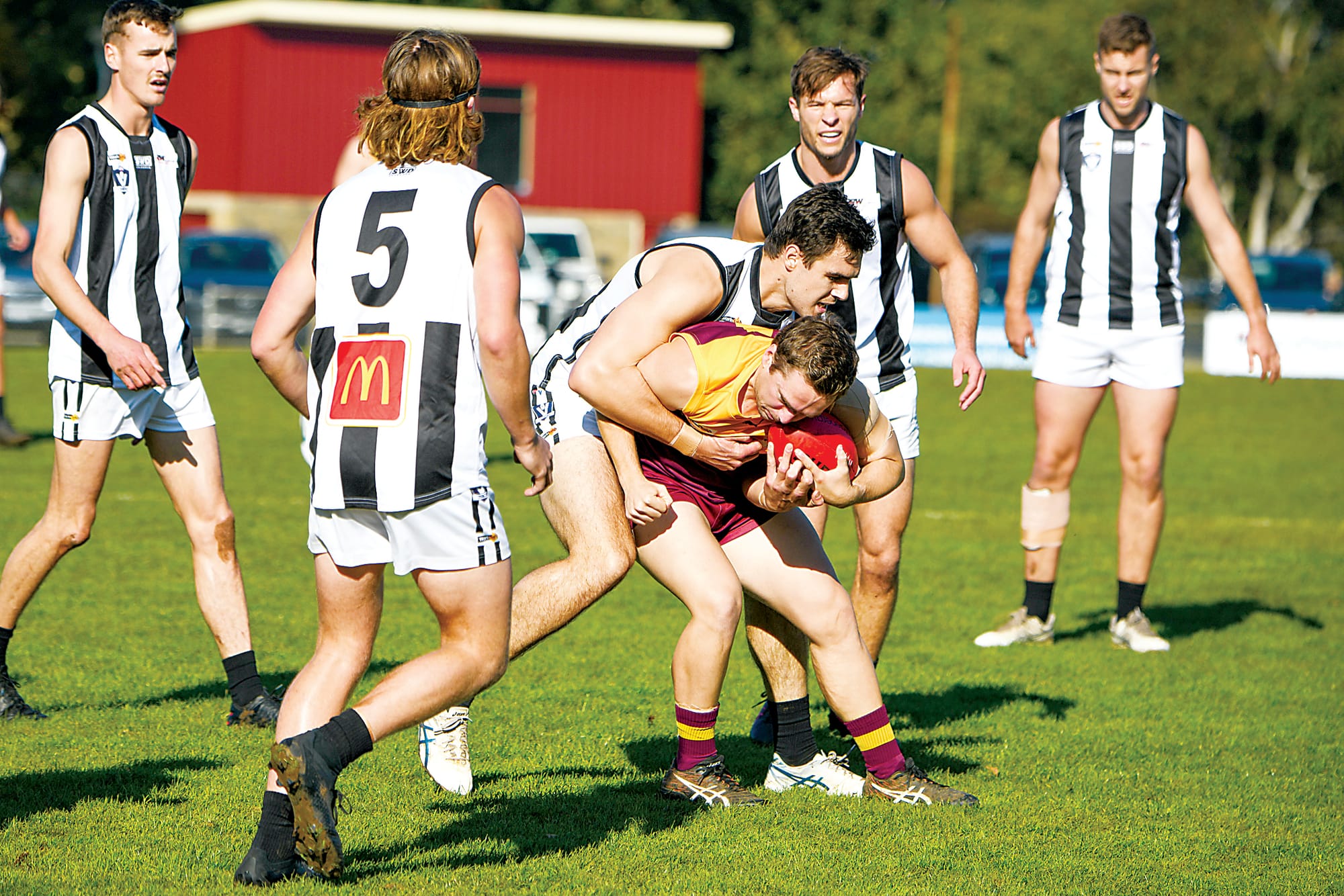 Hawks hoping to cause havoc, Gulls out to end drought