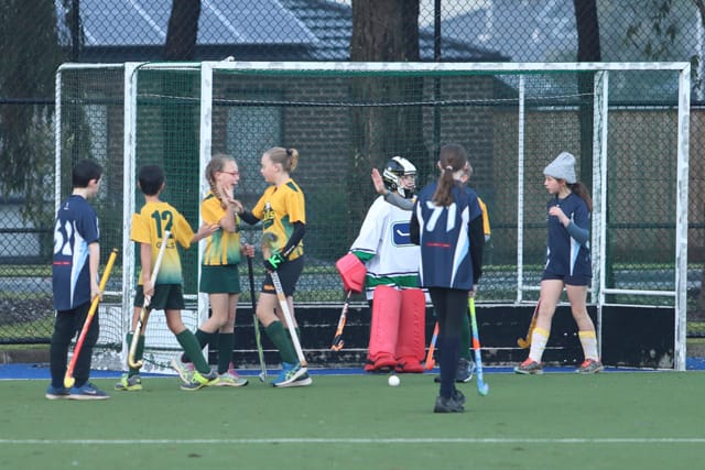 Hockey (U12's) Gulls Vs. Drouids - 19.06.2021