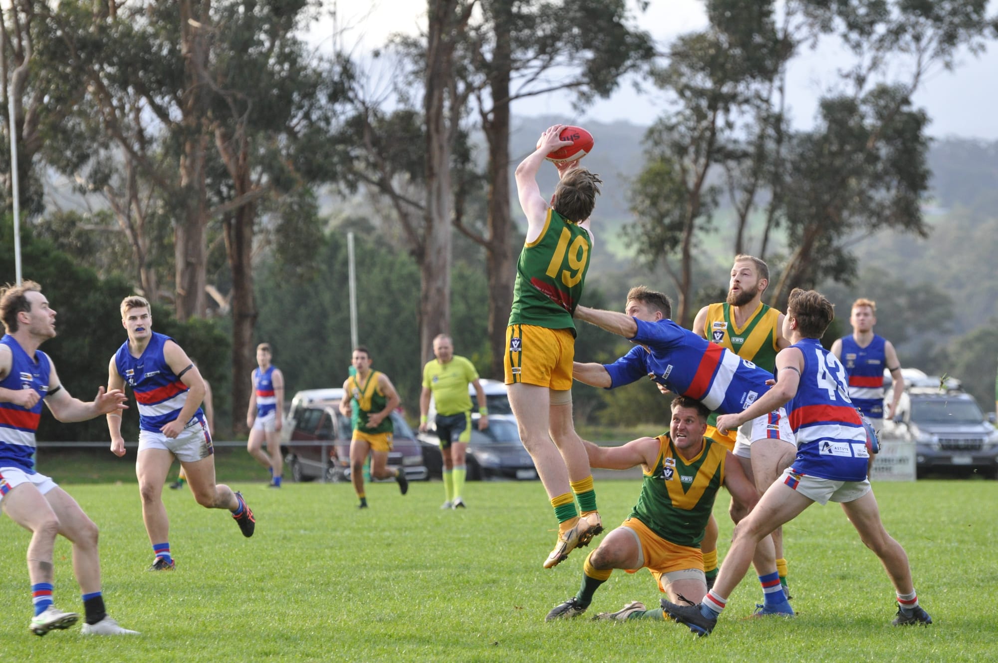 Will the Bulldogs or Magpies hold Mid Gippy cup aloft?