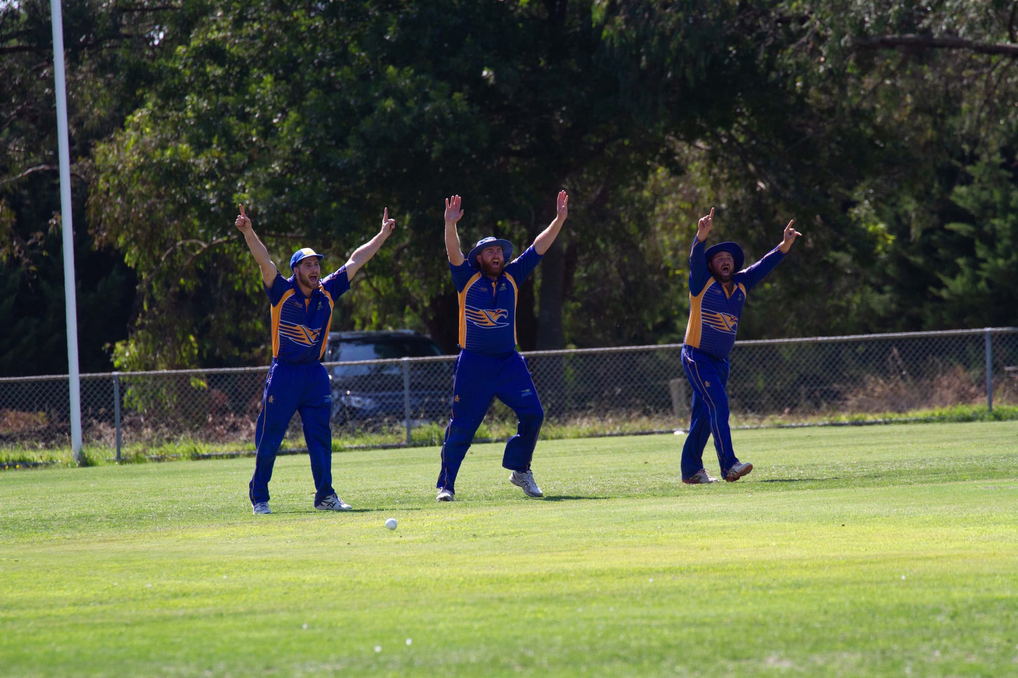 Cricket Div 1 Hallora Vs. Ellinbank - 19.03.2022