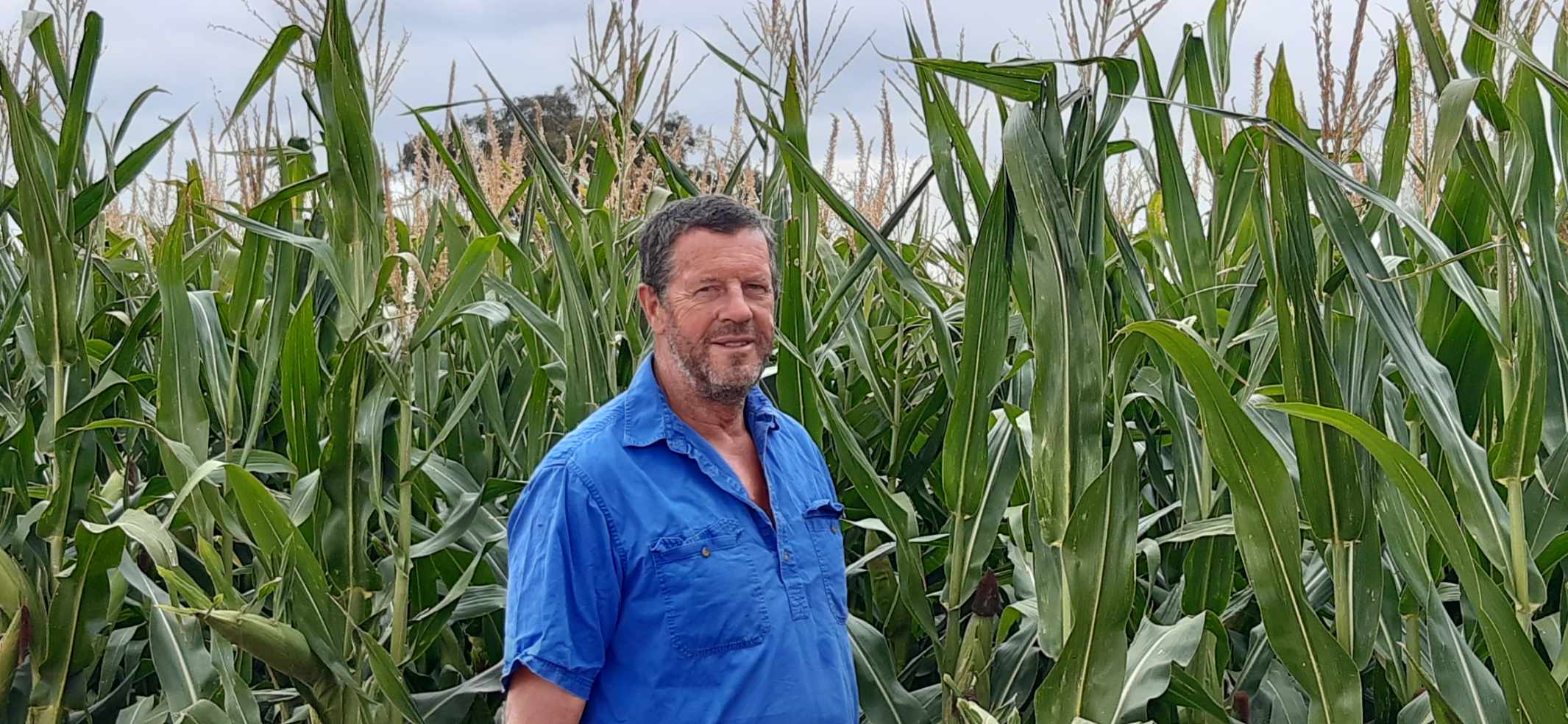 Nuffield research helps with farm succession