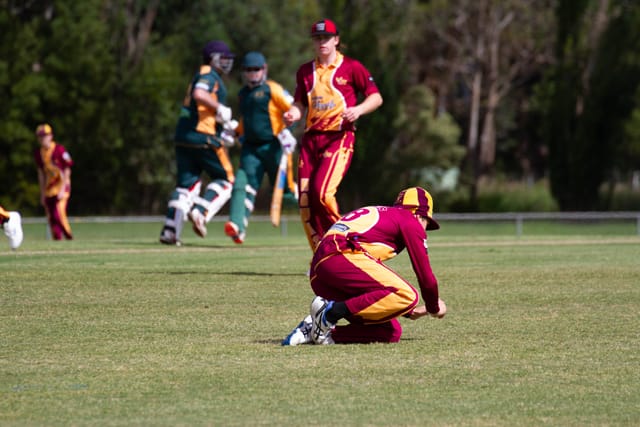 Cricket Div 2 Drouin v Hallora - 27.11.2021