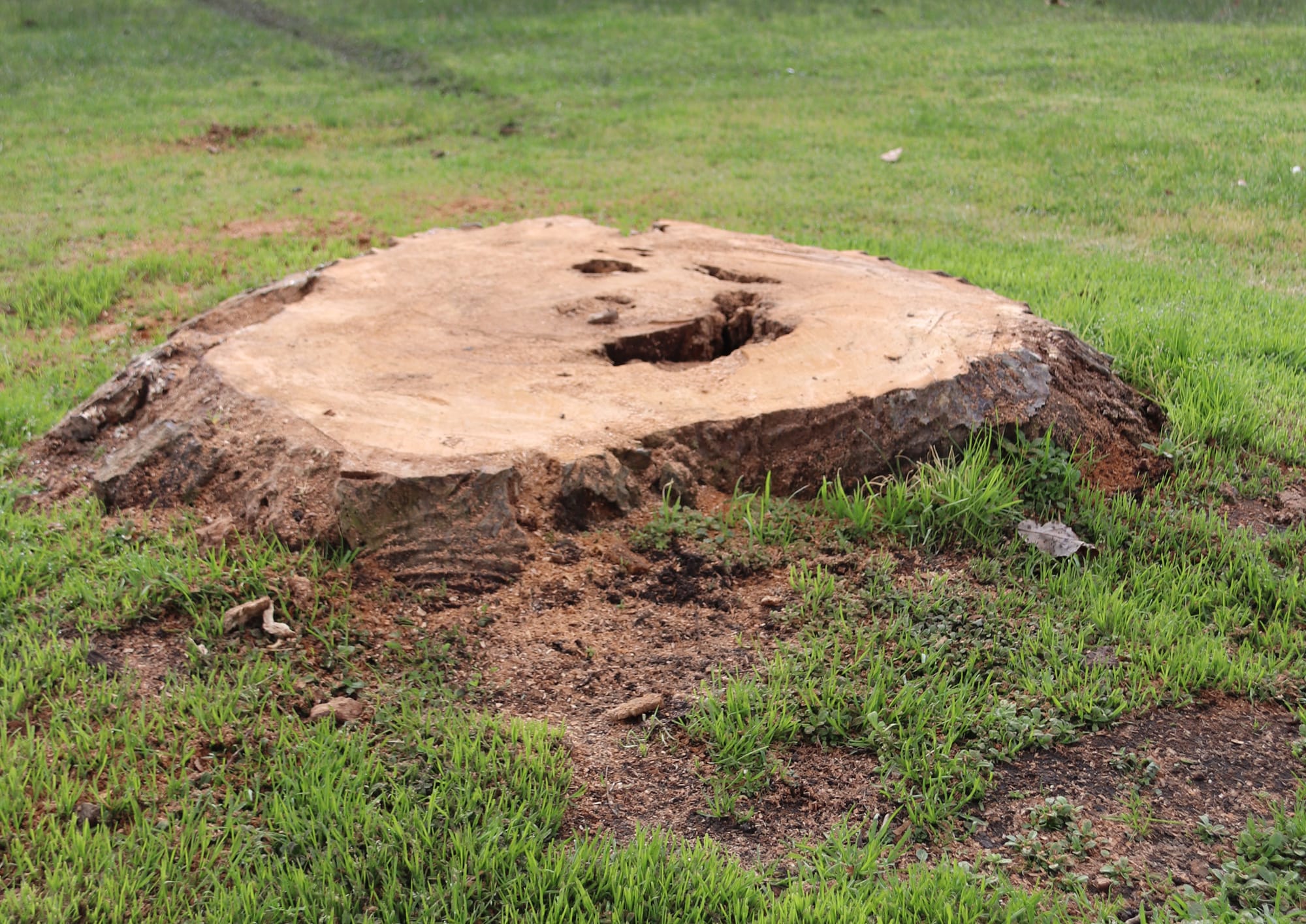 Memorial sculpture will return