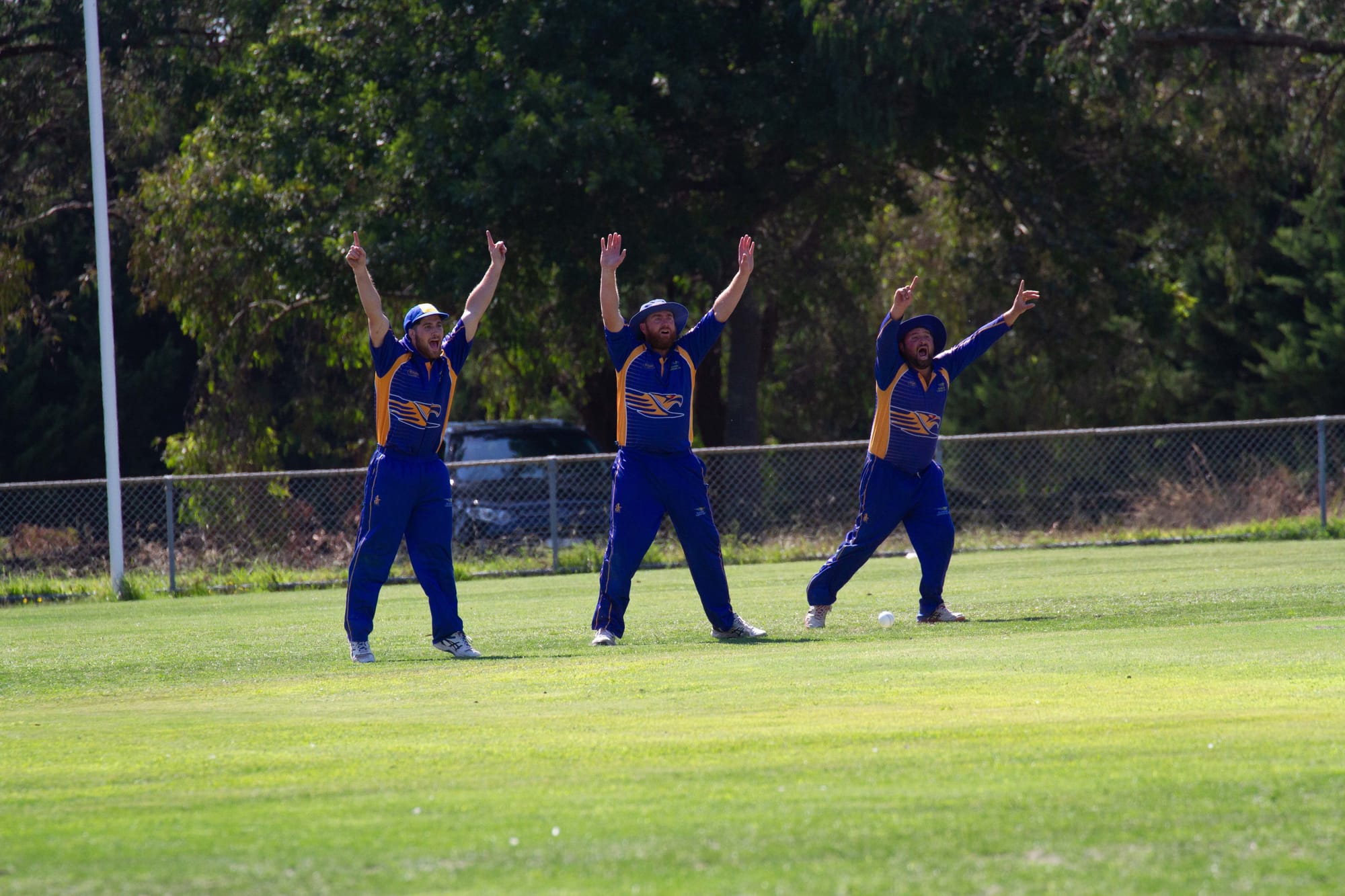 Cricket Div 1 Hallora Vs. Ellinbank - 19.03.2022