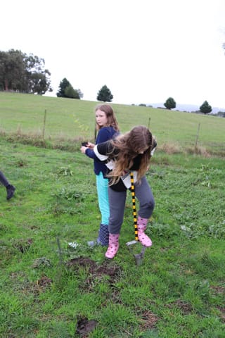 Tree Planting- 06.05.2021 