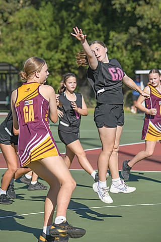 Netball Monday Night (U13's) - Drouin Hawks Vs .Shrek Gulls - 04.03.2024