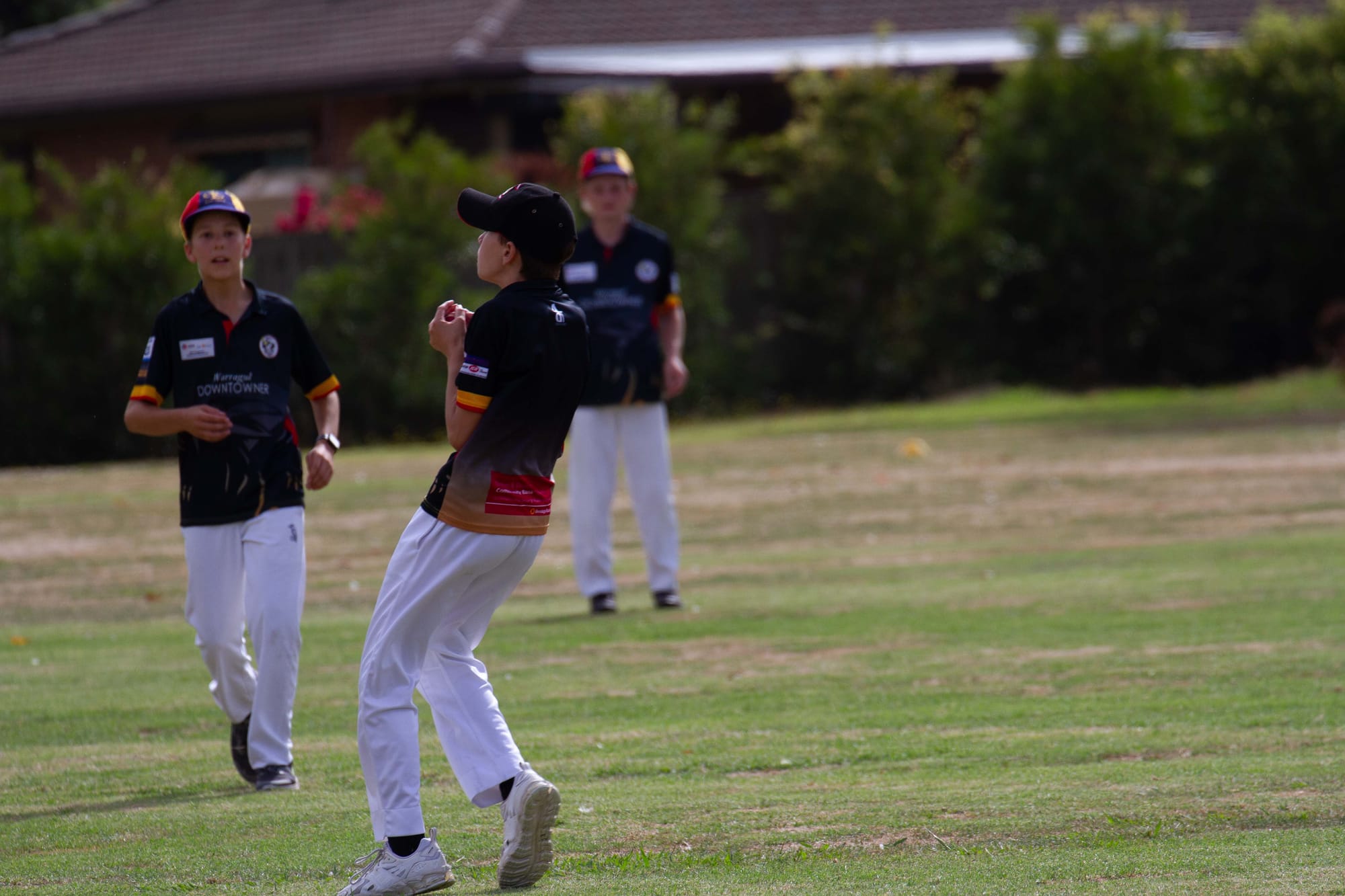 Cricket (U16's) Drouin Vs. Longwarry Catani - 20.22.022