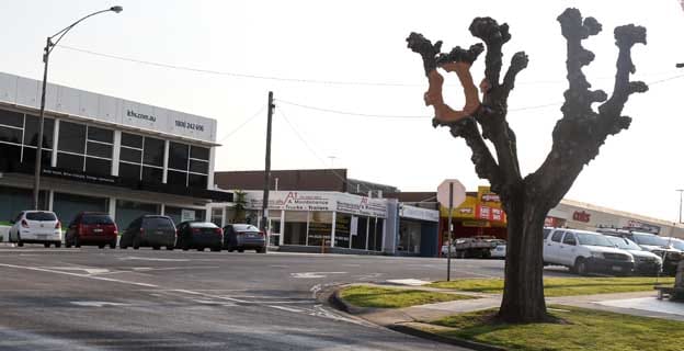 Tree to go for roundabout