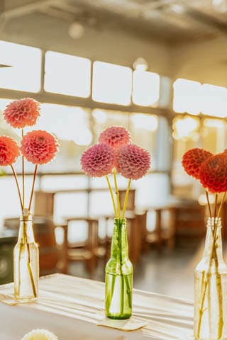 Warragul Show Friday (3rd) and Sunday (5th) - March 2023