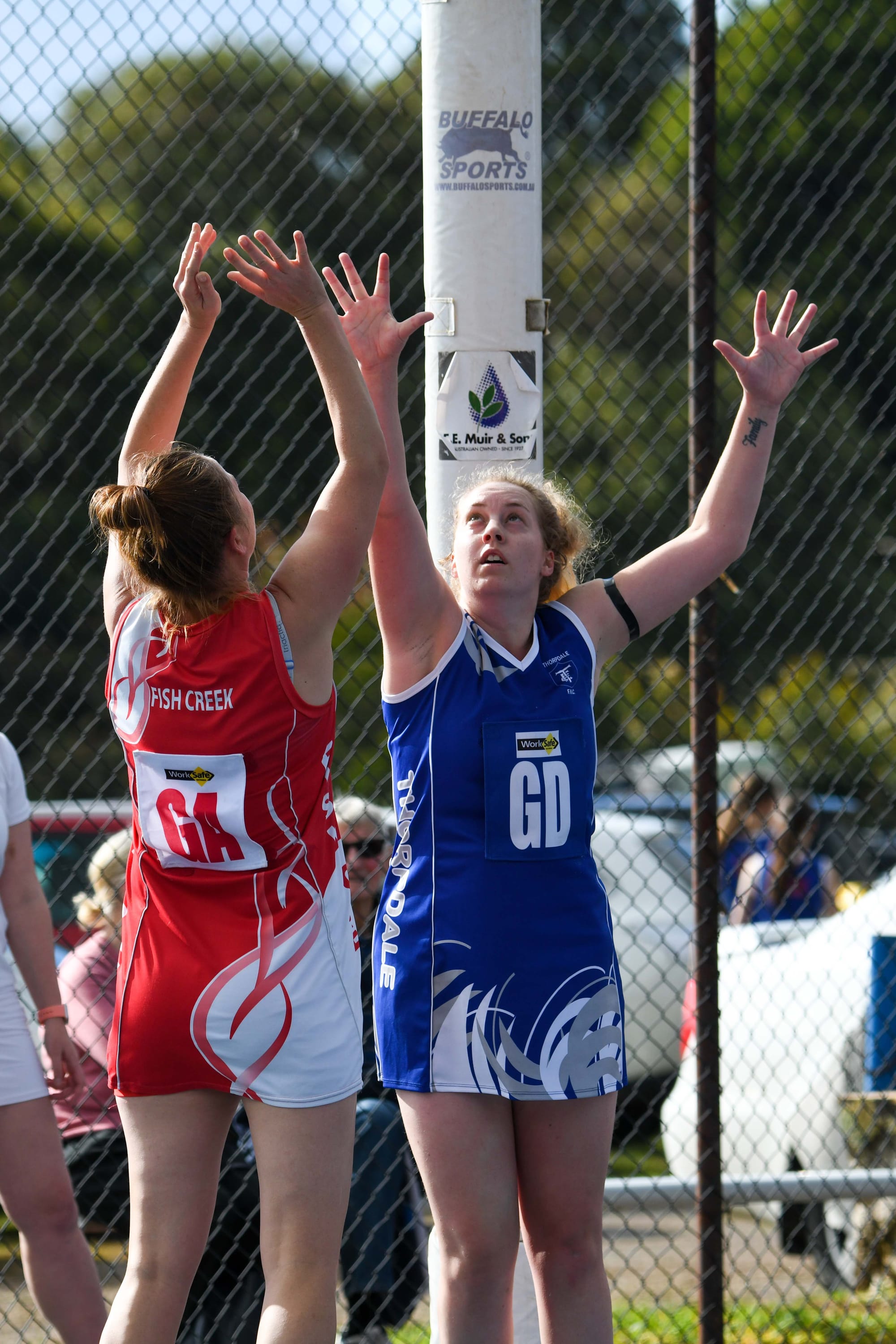 Netball MGFNL C Grade Thorpdale Vs. Fish Creek - 18.06.2022