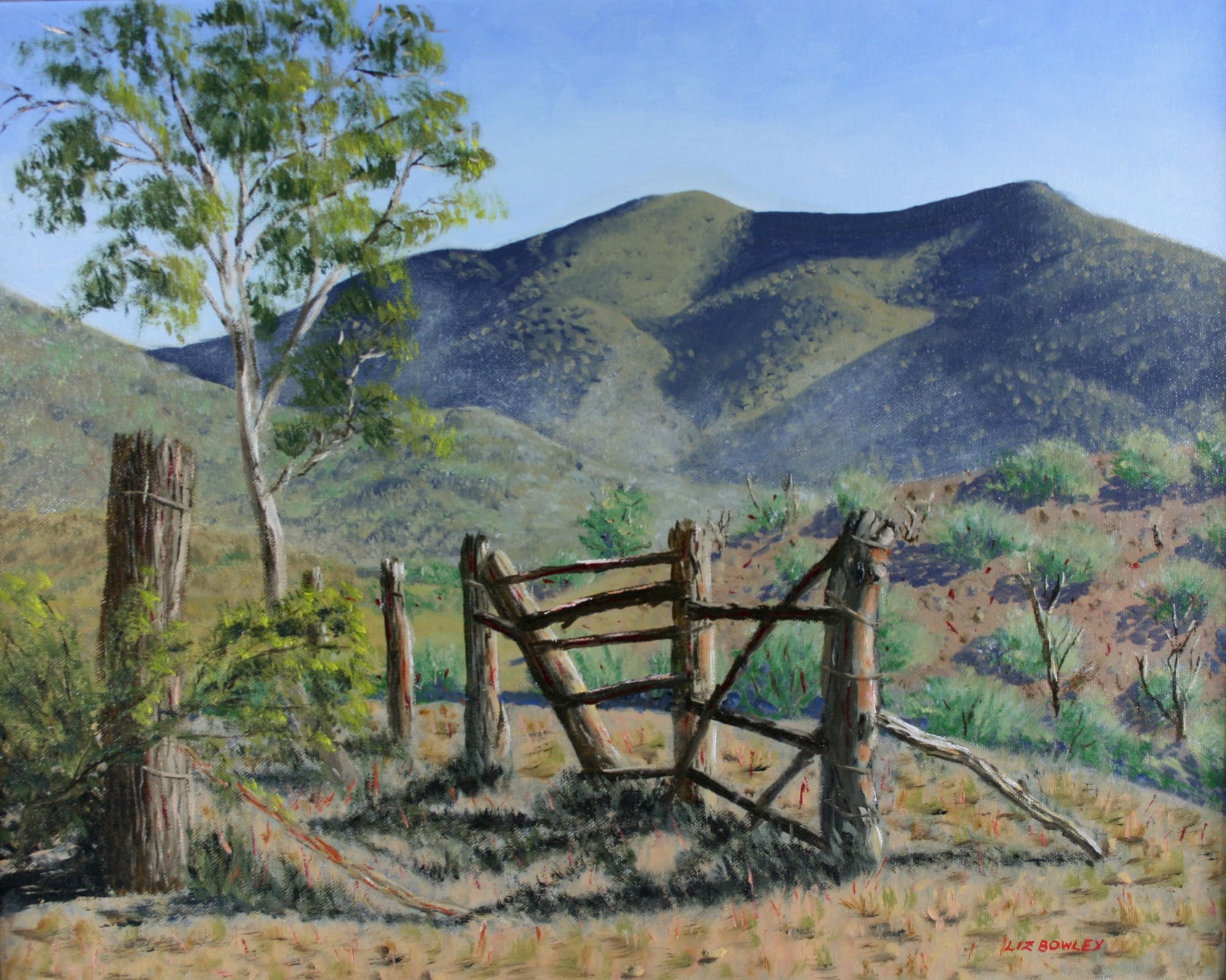 See Australian landscapes in oil