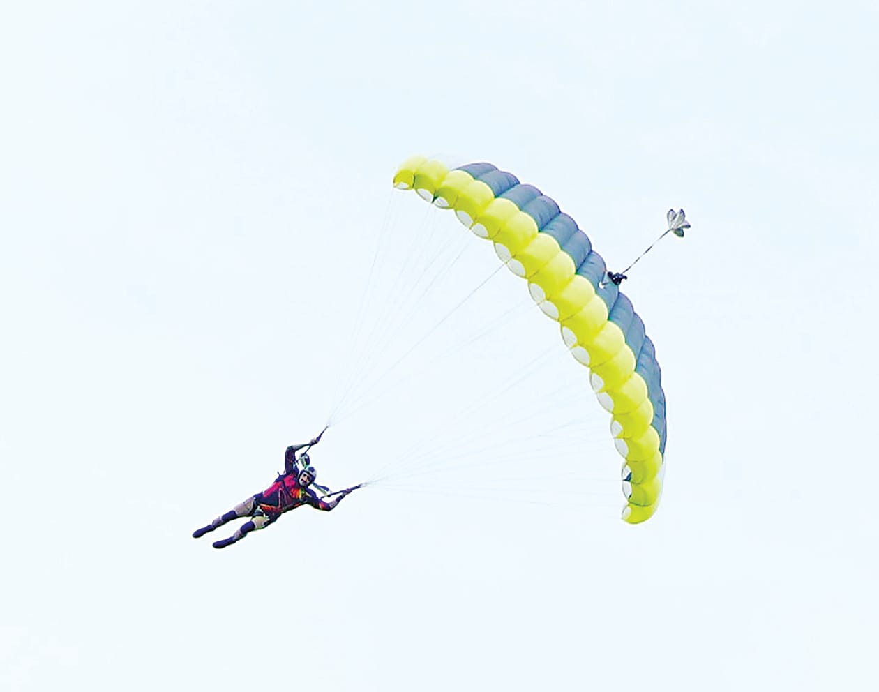 Teacher dives to victory