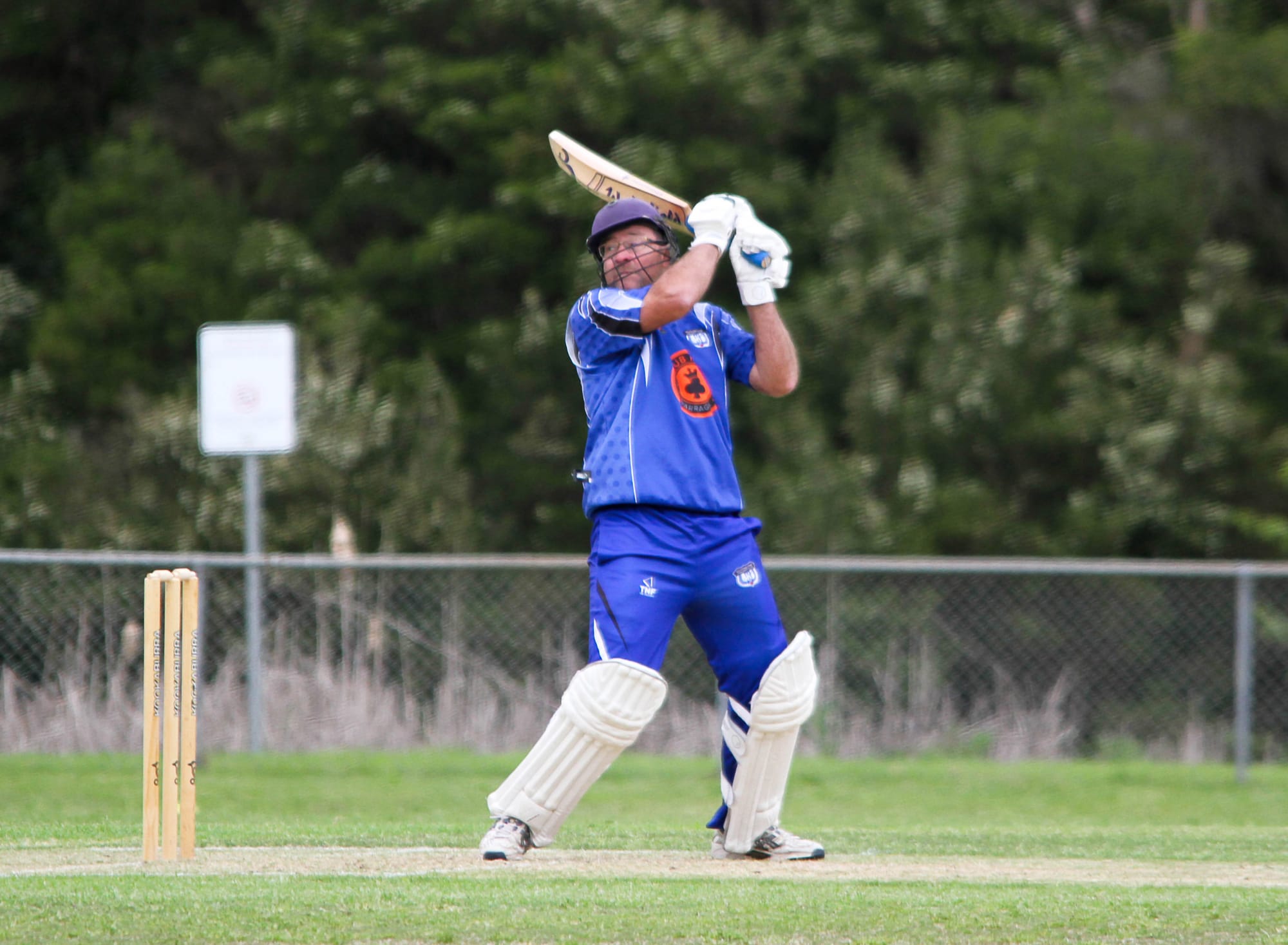 Catani keeps winning