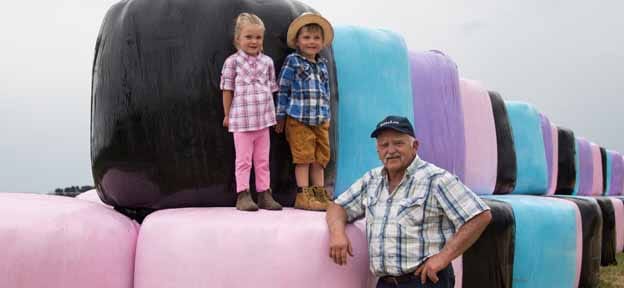 Coloured silage for charity